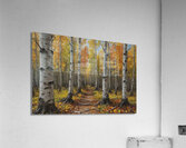 Autumn Birch Forest Path Acrylic Print