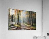 Autumn Forest Pathway Acrylic Print