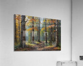 Autumn Forest Pathway Acrylic Print