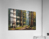 Serene Forest Pathway Acrylic Print
