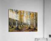 Autumn Birch Forest Path Acrylic Print