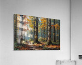 Autumn Forest Pathway Acrylic Print