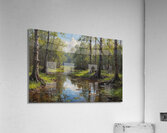 Tranquil Swamp Landscape with Reflections Acrylic Print