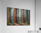 Majestic Sequoia Forest Scene Acrylic Print