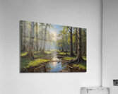 Tranquil Forest Stream Landscape Acrylic Print