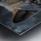 Majestic Wolf Portrait with Golden Eyes Metal print