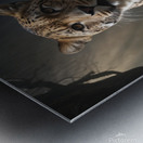 Majestic Leopard in Forest Light Metal print