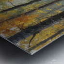 Autumn Forest Pathway Metal print