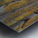 Autumn Forest Path with Vibrant Foliage Metal print