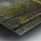 Tranquil Swamp Landscape with Reflections Metal print