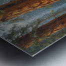 Majestic Sequoia Forest Scene Metal print