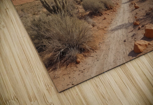 Winding Path Through Desert Landscape Wildscape Creations puzzle