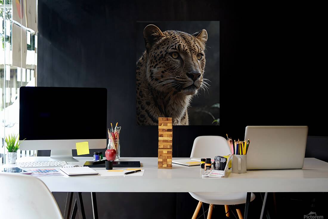 Close Up Portrait of a Leopard Reproduction
