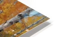 Autumn Birch Forest Path HD Metal print