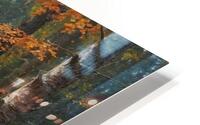 Autumn Forest Pathway HD Metal print