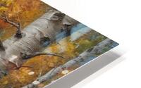 Autumn Birch Forest Path HD Metal print