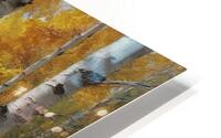 Autumn Birch Forest Path HD Metal print
