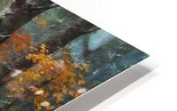 Autumn Forest Pathway HD Metal print