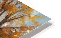 Charming Autumn Landscape with Rustic House HD Metal print