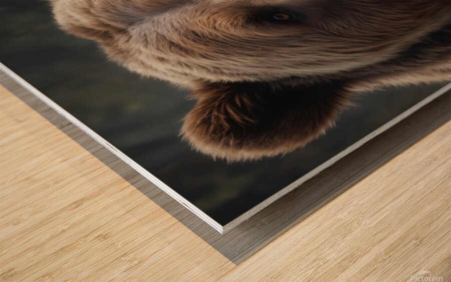 Majestic Brown Bear Portrait Wood print