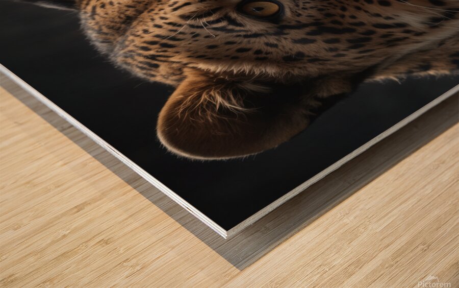 Close Up Portrait of a Leopard Wood print