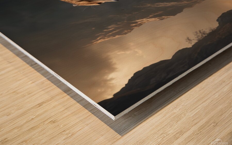 Majestic Cheetah in Dramatic Landscape Wood print