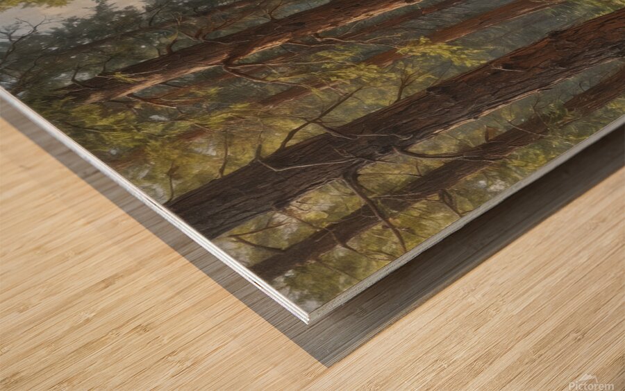 Serene Forest Pathway with Tall Pine Trees Wood print