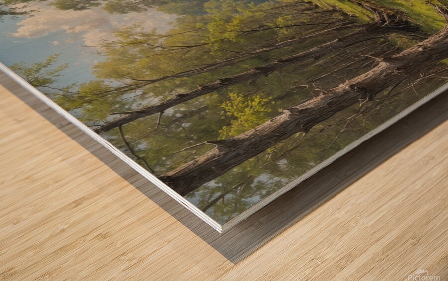 Tranquil Swamp Landscape with Reflections Wood print