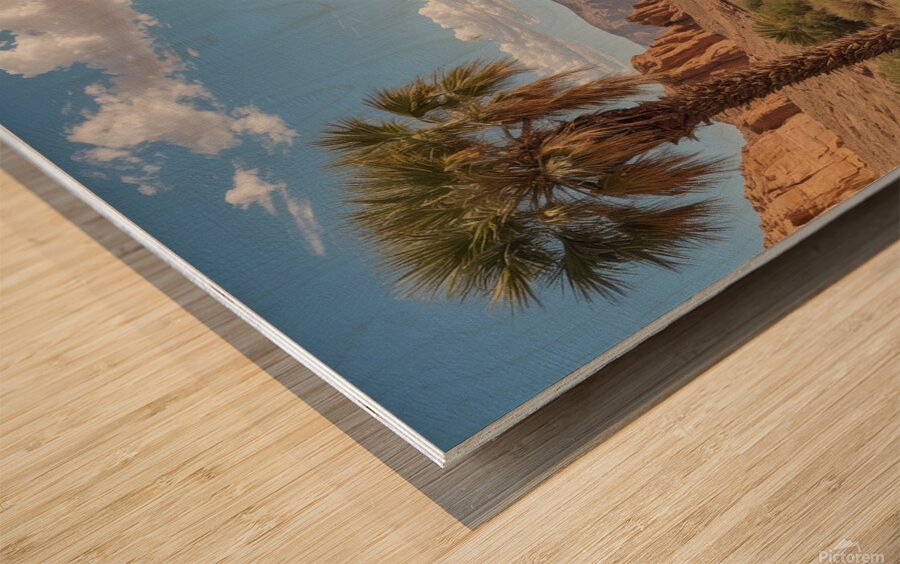 Serene Desert Landscape with Palm Trees and Stream Wood print