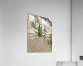 Sandy plant Acrylic Print