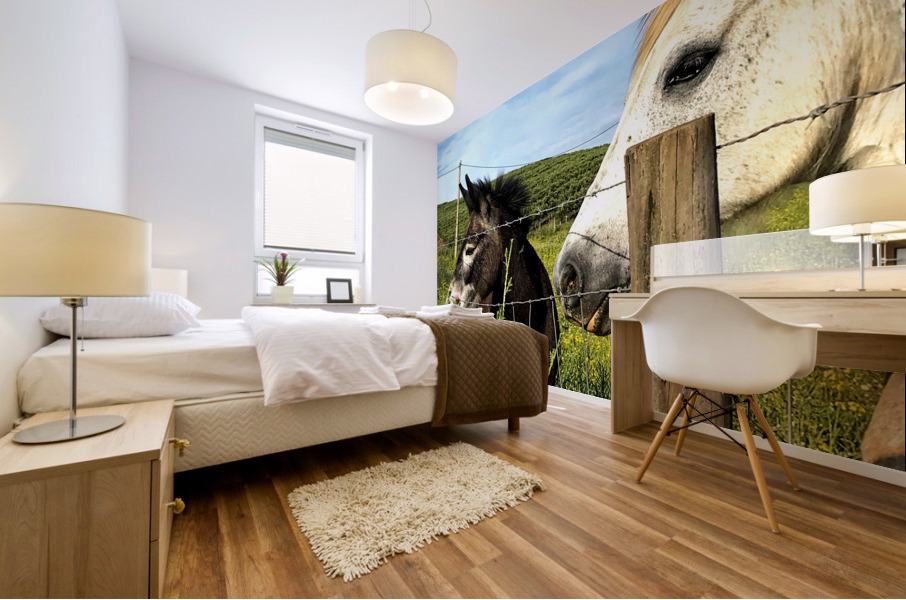 Beautiful horses Mural print