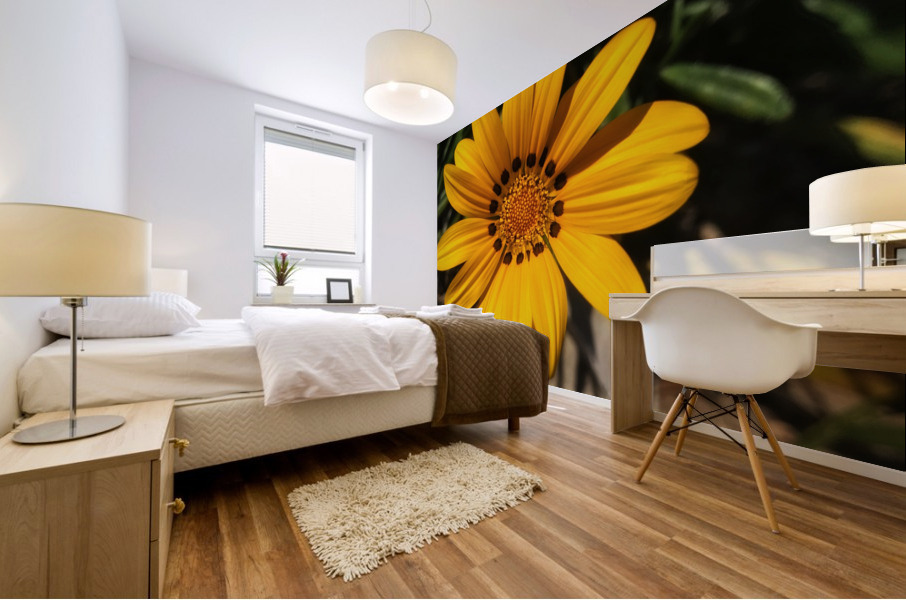 A jellow flower Mural print