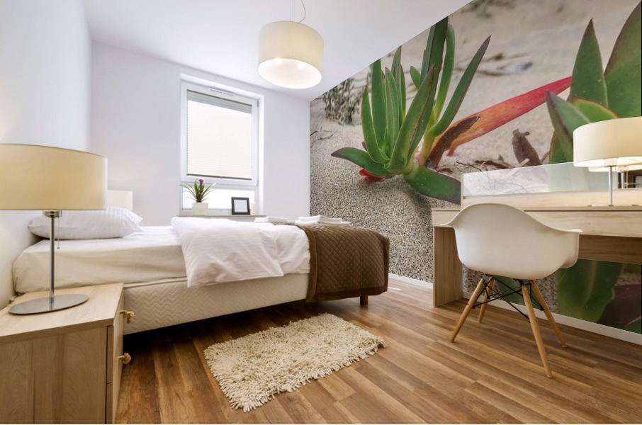 Sandy plant Mural print