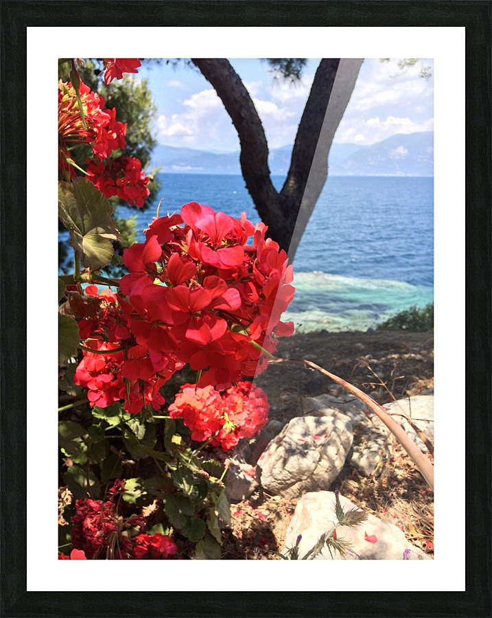 Oleander in Greece Picture Frame print