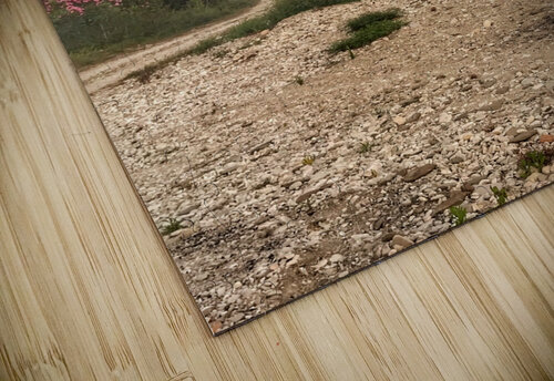 Albania Anita Varga puzzle