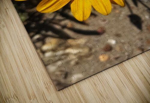 A jellow flower Anita Varga puzzle
