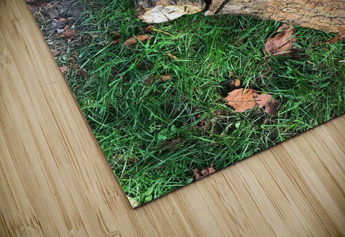 wood for fire Anita Varga puzzle
