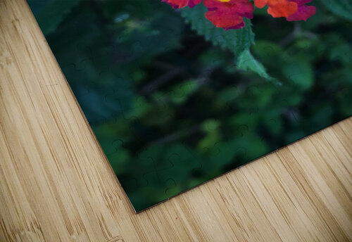 A beautiful flowers Anita Varga puzzle