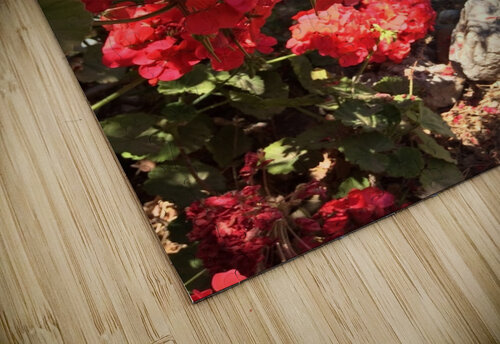 Oleander in Greece Anita Varga puzzle