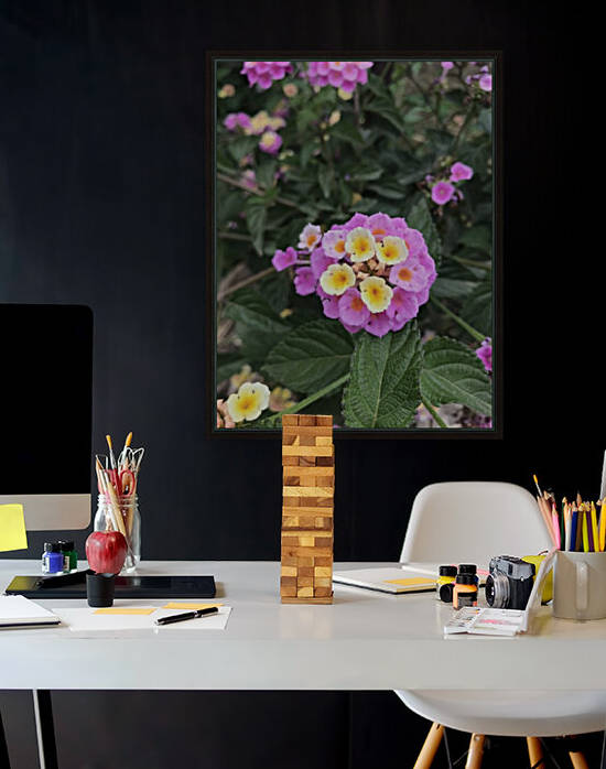 Just a beautiful flower  by Anita Varga