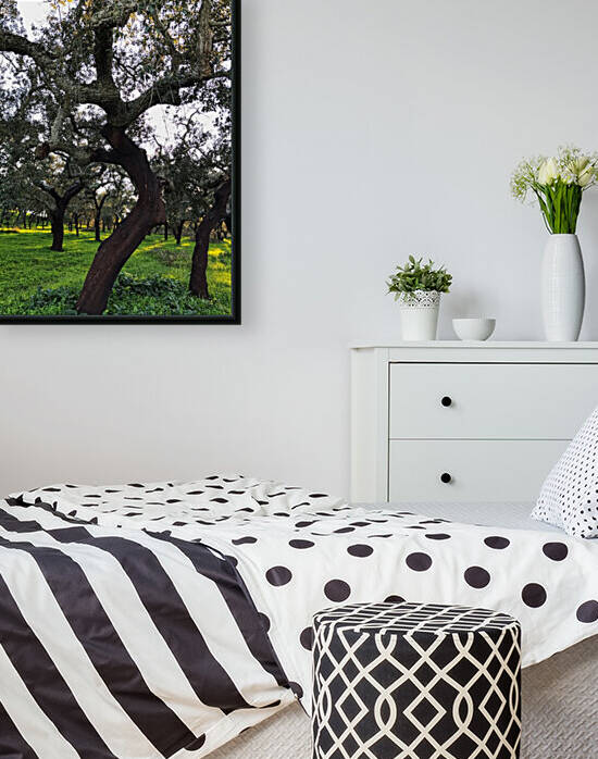 Cork tree in central Portugal by Anita Varga