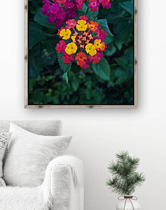 A beautiful flowers by Anita Varga