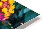 A beautiful flowers HD Metal print