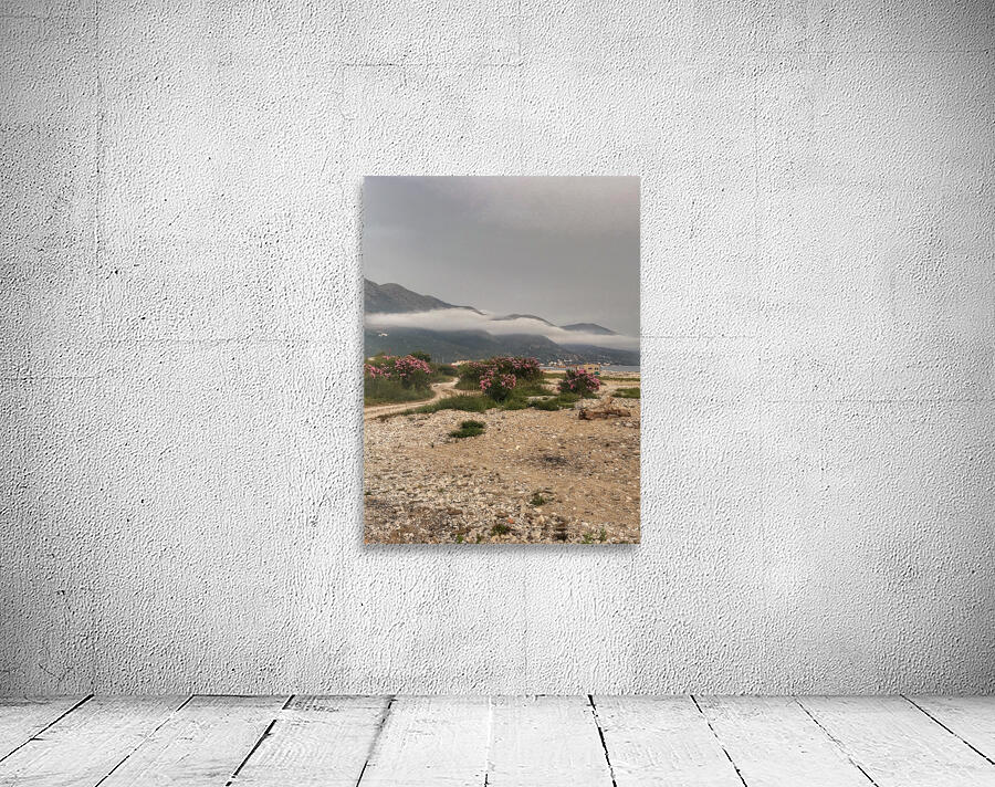 Albania Wall Preview