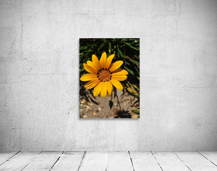 A jellow flower Wall Preview