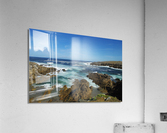 Wild side Acrylic Print