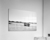 black and white Acrylic Print