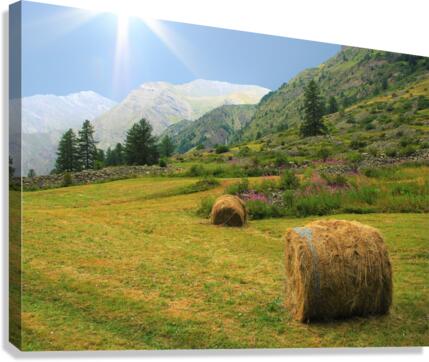 Mountain atmosphere Canvas Print