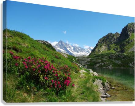 Altitude lake Canvas Print