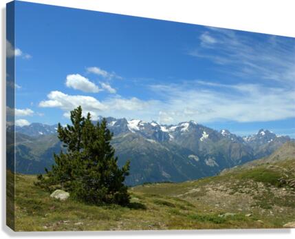 At the top Canvas Print
